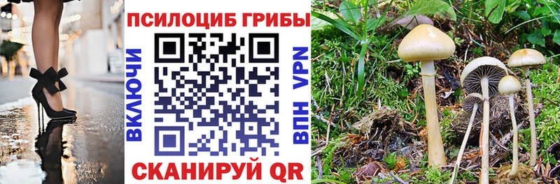 Купить  Гусь-Хрустальный  Галлюциногенные грибы ЛСД 